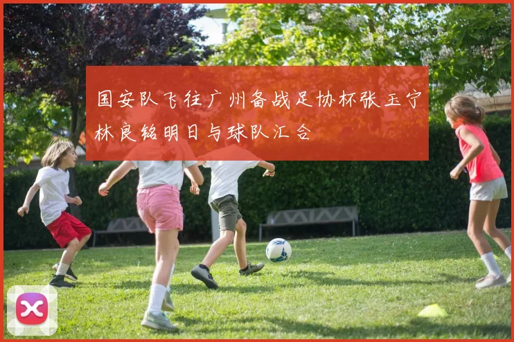 国安队飞往广州备战足协杯张玉宁林良铭明日与球队汇合