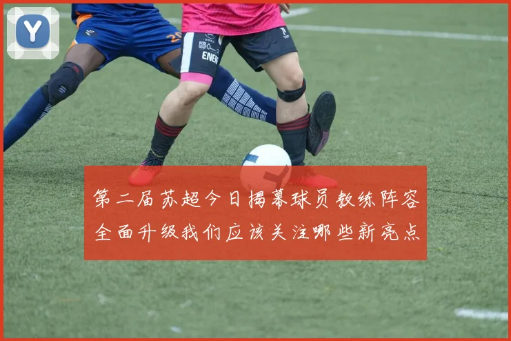 第二届苏超今日揭幕球员教练阵容全面升级我们应该关注哪些新亮点
